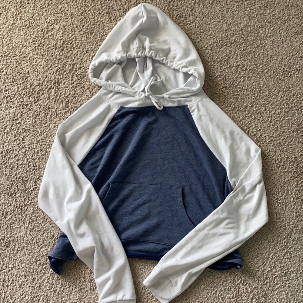 blue and white cropped sweatshirt